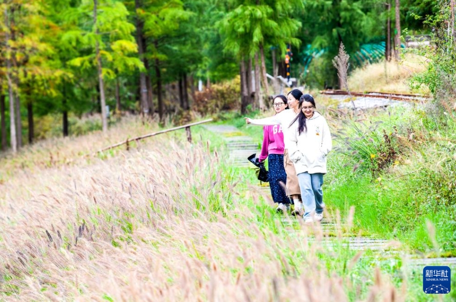 農(nóng)業(yè)?文化?観光の融合が農(nóng)村振興を後押し　重慶石柱県橋頭鎮(zhèn)