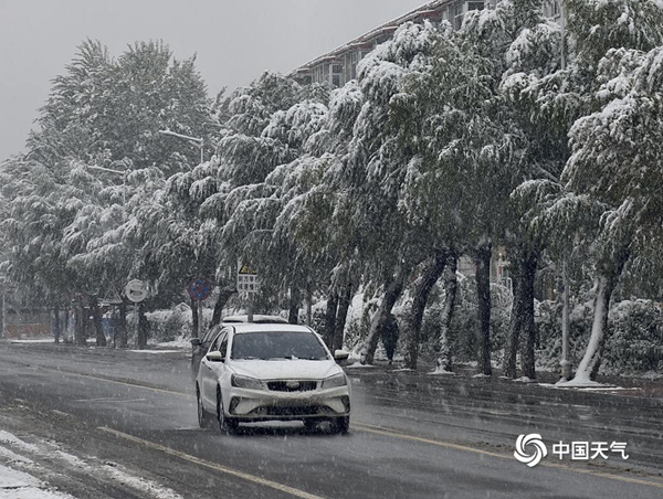 10月15日、雪が降り、雪の花が舞い落ちた黒竜江省大慶市（撮影?楊志明）。