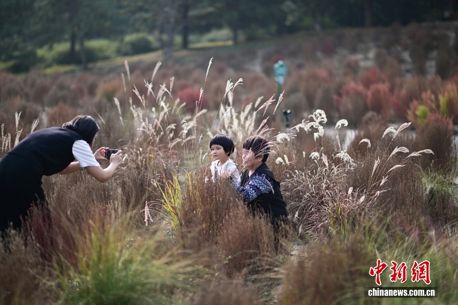 秋が深まる北京