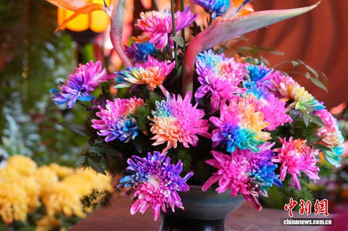園內(nèi)に展示された人工的に栽培された「七彩炫菊」（撮影?王士豪）。