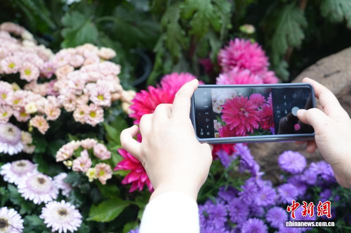 清明上河園で「第14回國際菊花展」が開幕　河南省開封