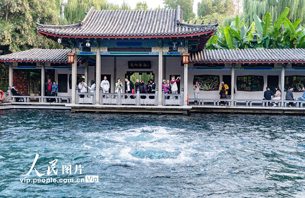 湧水が勢いよく湧き出す景観が再び現(xiàn)れた趵突泉 　山東省済南