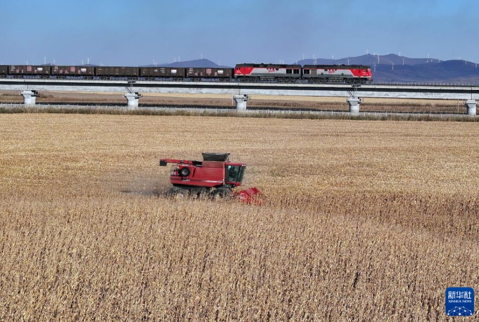 「中歐班列」東ルートの今年の貨物輸入量が2700萬(wàn)トン突破
