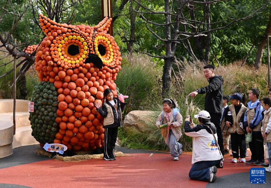 「カボチャアート王國」が観光客に人気に　山東省青島