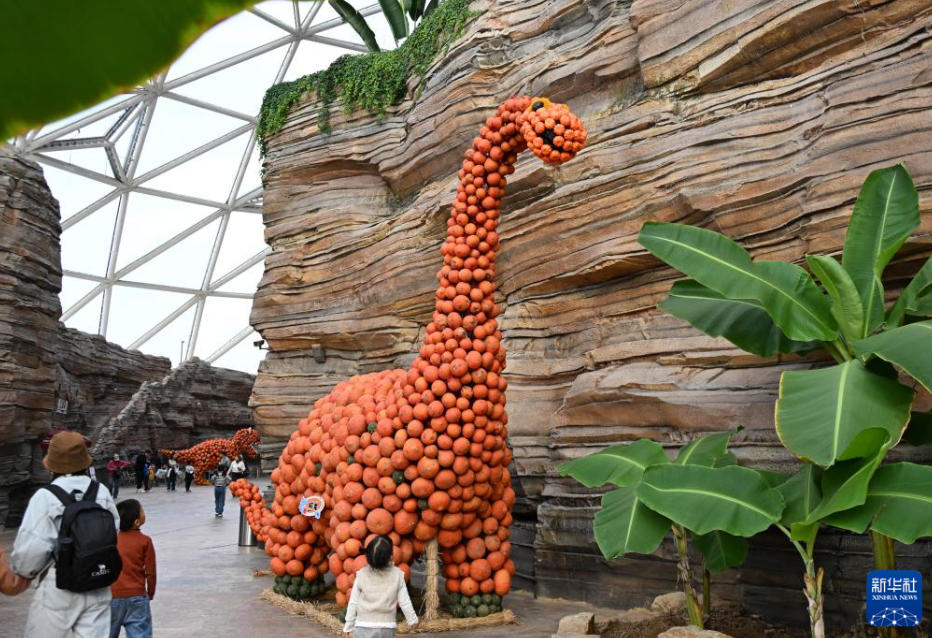 「カボチャアート王國」が観光客に人気に　山東省青島