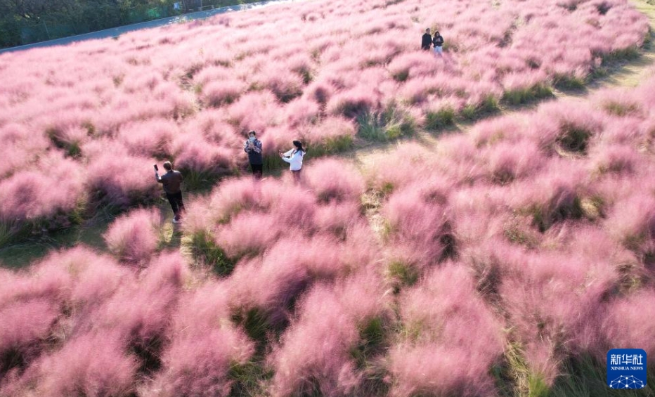中國各地で彩り豊かな秋の到來