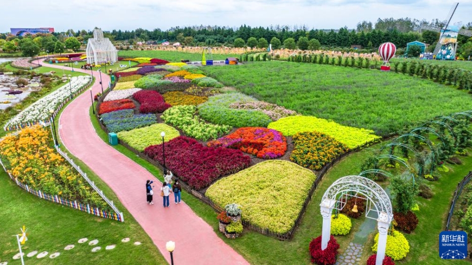 中國各地で彩り豊かな秋の到來