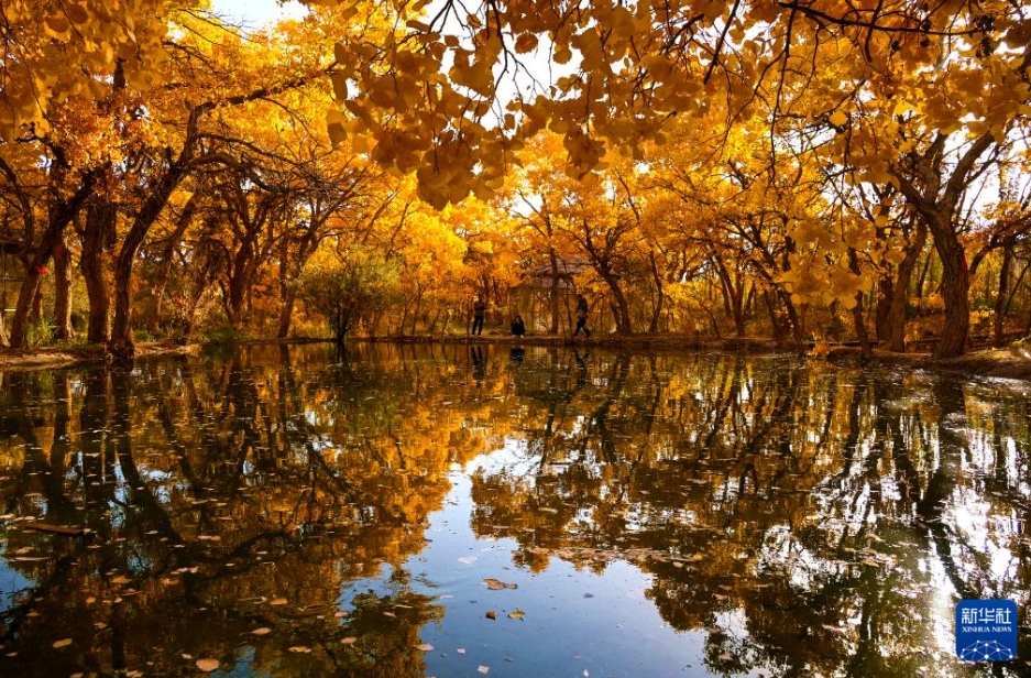 中國各地で彩り豊かな秋の到來