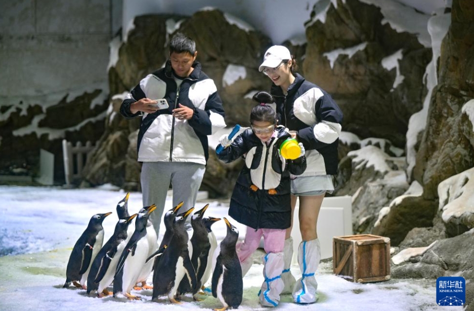 快適なオフピーク旅を楽しめる海南省陵水