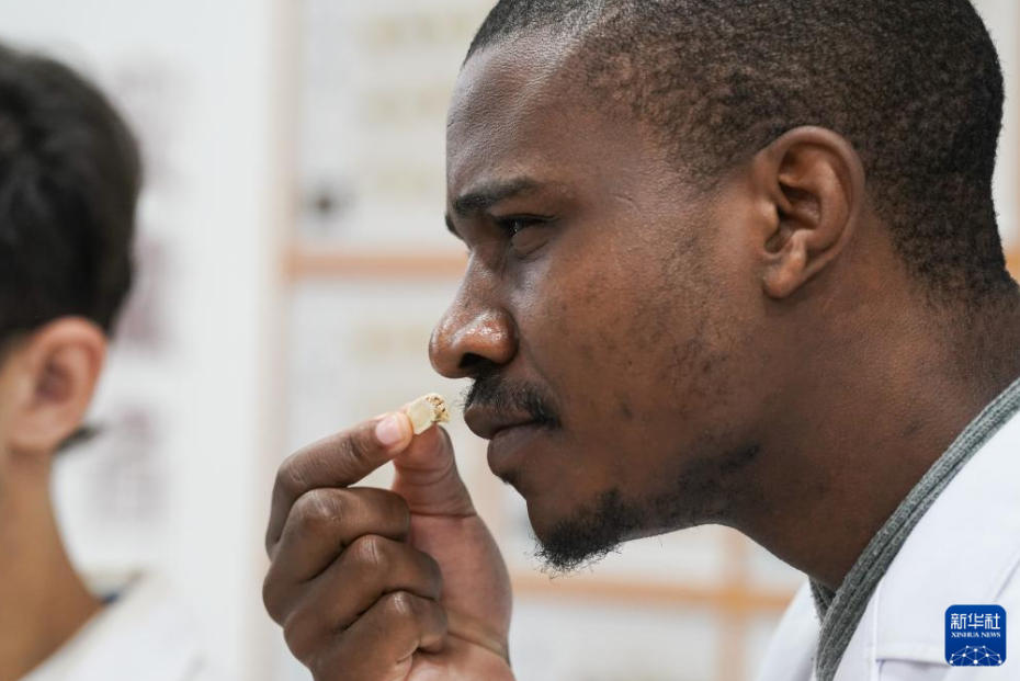 「外國人中醫(yī)」の中國留學(xué)記