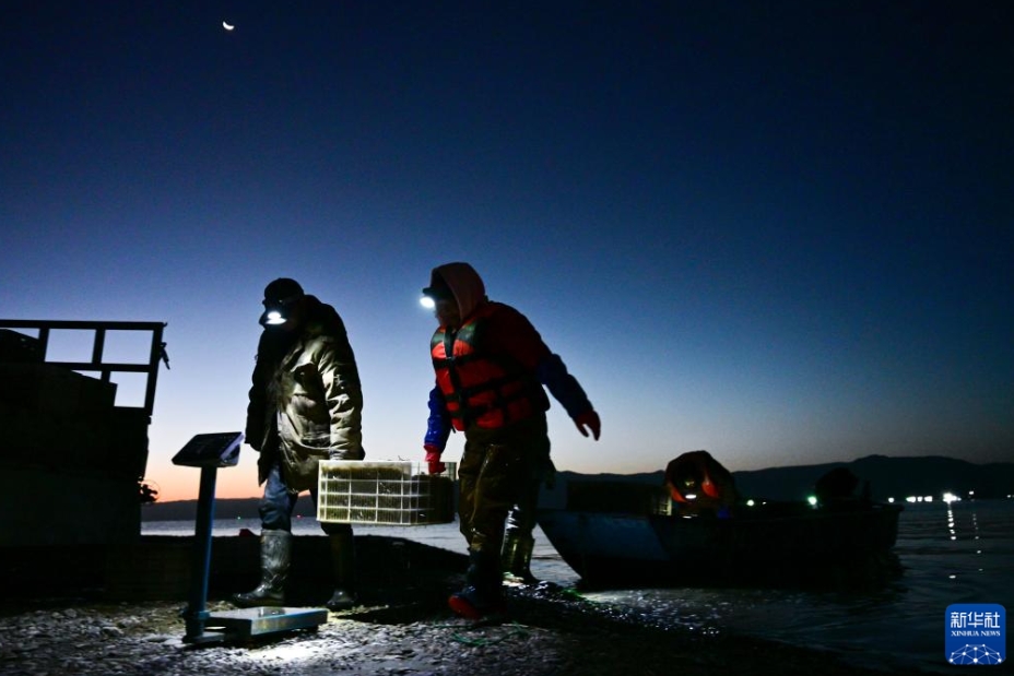 ワカサギ漁と観光を融合し、発展目指す竜羊峽ダム　青海省
