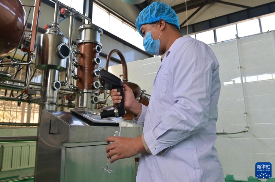 南果梨の加工産業(yè)が農(nóng)村振興をバックアップ　遼寧省海城市