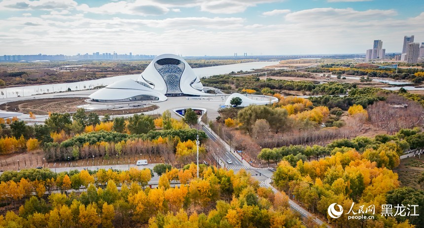 美しい哈爾浜の秋景色（撮影?蘇靖剛）。