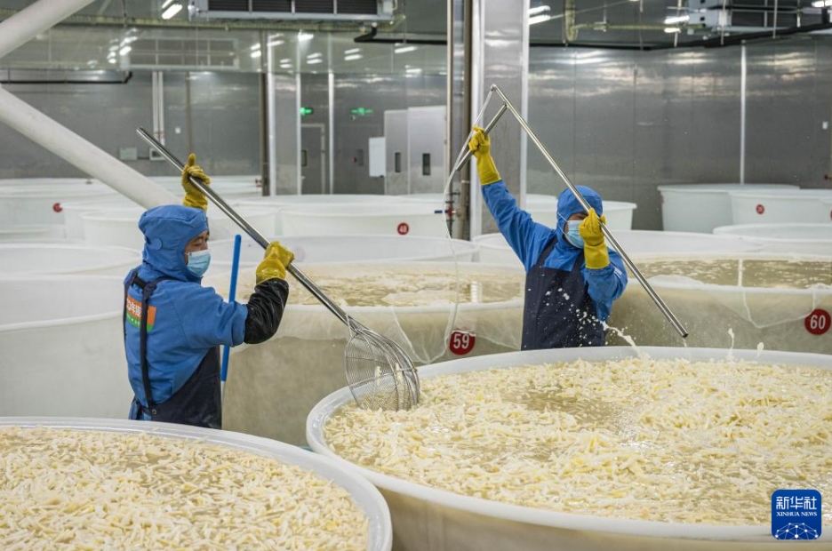 雲(yún)南省昭通市鎮(zhèn)雄県五徳鎮(zhèn)にある赤水源緑色食品加工産業(yè)パークのタケノコ生産工場で、タケノコの漬け込みを行う作業(yè)員（10月23日撮影?王冠森）。