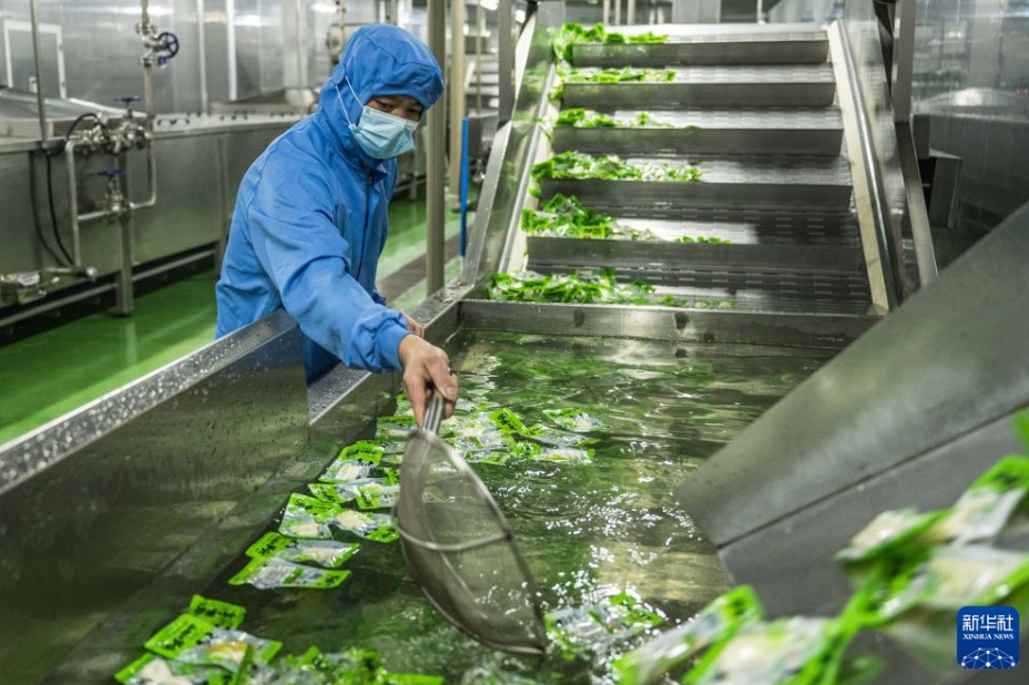 農(nóng)村振興を後押しする山間部の産業(yè)パーク　 雲(yún)南省鎮(zhèn)雄