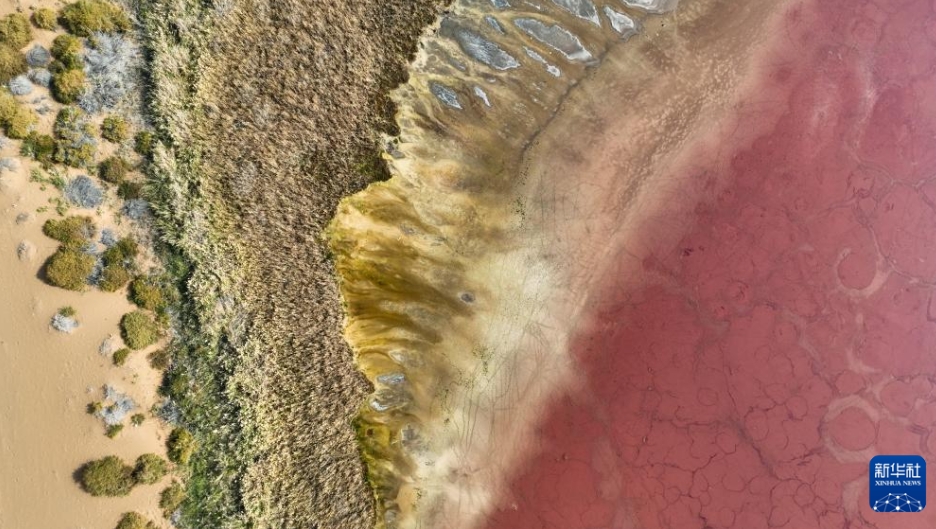 秋を迎えた巴丹吉林砂漠　內蒙古