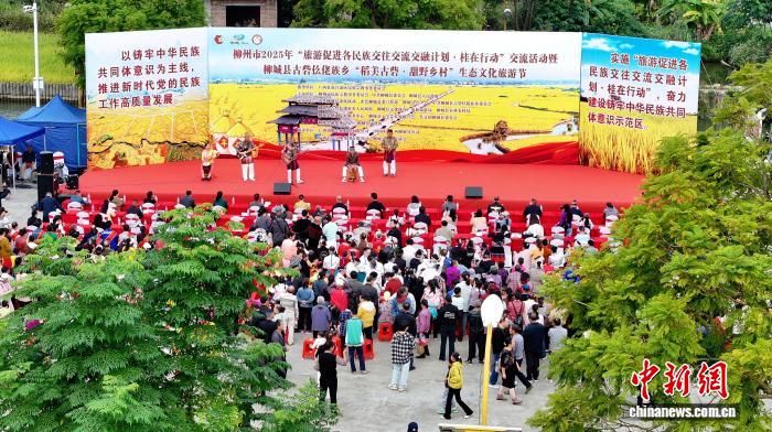 観光客を魅了する風(fēng)に揺れる稲穂　広西?柳城