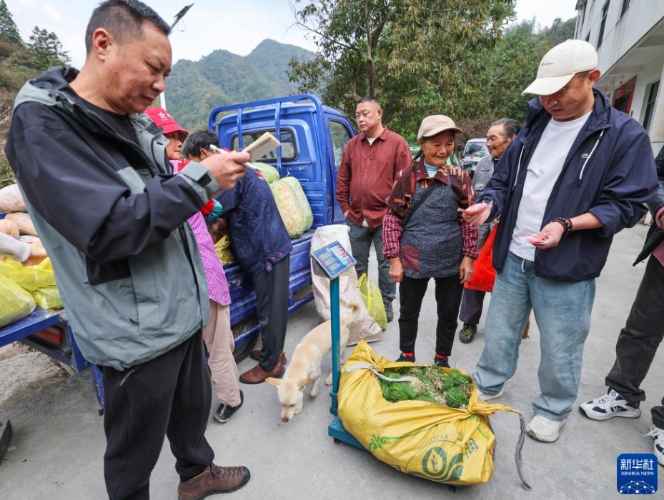 農(nóng)村部に殘された高齢者たちを支援する公益野菜買取プラン　浙江省杭州