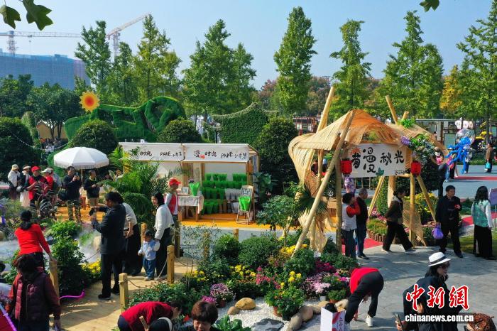 「菊花展」の様子（ドローンによる撮影?周星亮）。