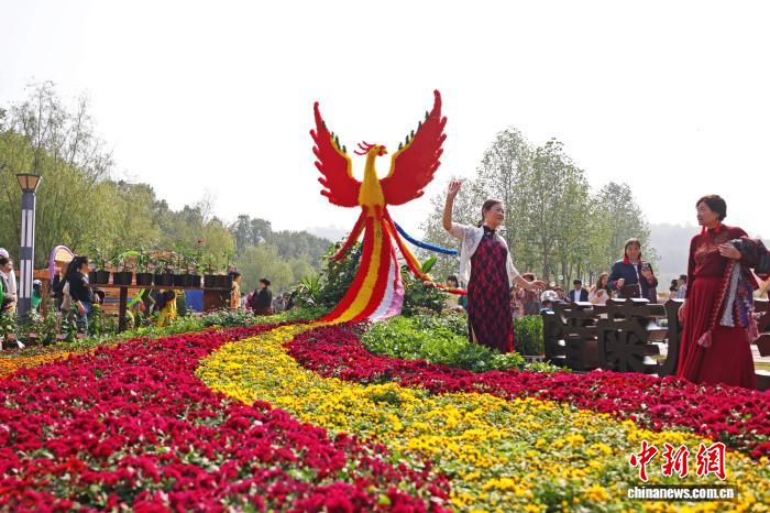 秋が深まる湖北省宜昌市で「菊花展」