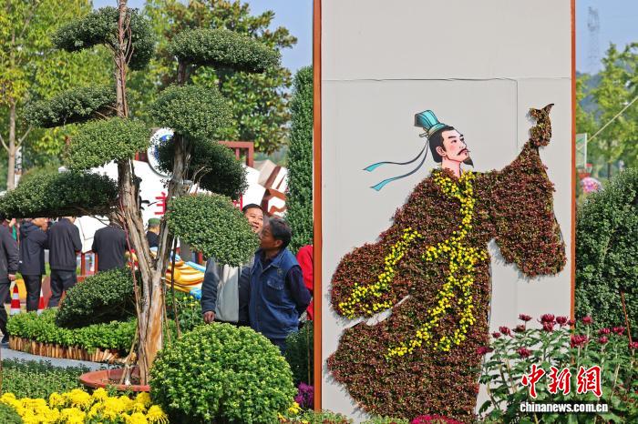 秋が深まる湖北省宜昌市で「菊花展」