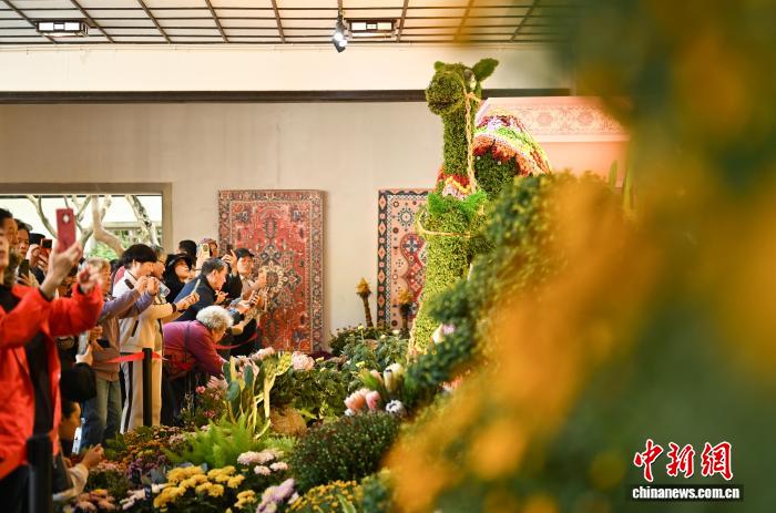 出展作「一帯一路?一路絲華」の前に集まった人々（撮影?王剛）。