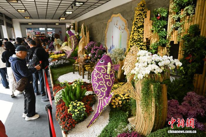 來場者で賑う「長江デルタ菊花精品展」　浙江省杭州