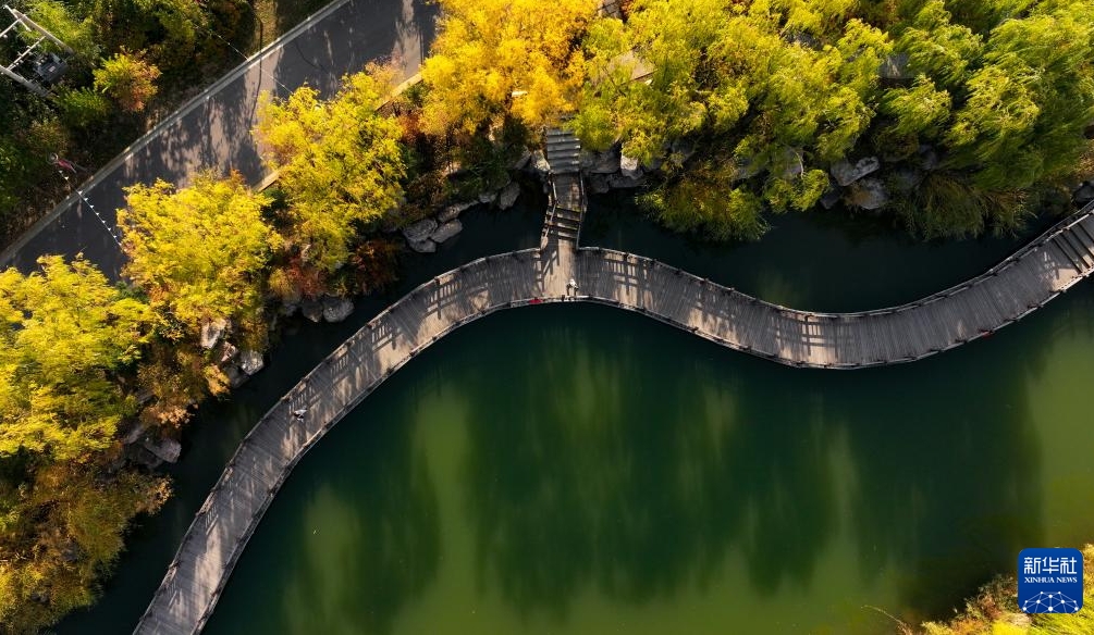 色濃い秋の気配漂う「塞上湖城」　寧夏?銀川