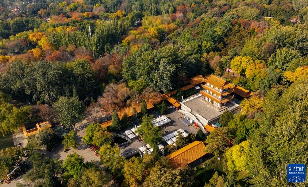 色濃い秋の気配漂う「塞上湖城」　寧夏?銀川