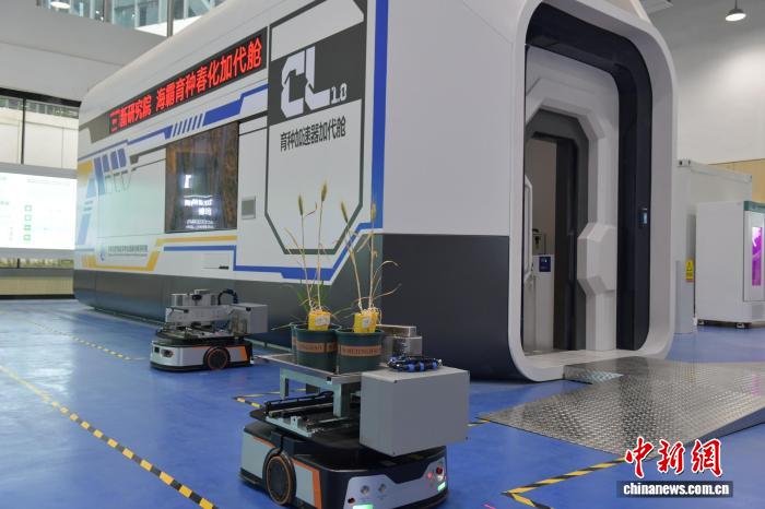 全工程スマート育種ロボット「小?！工虬k表　安徽省