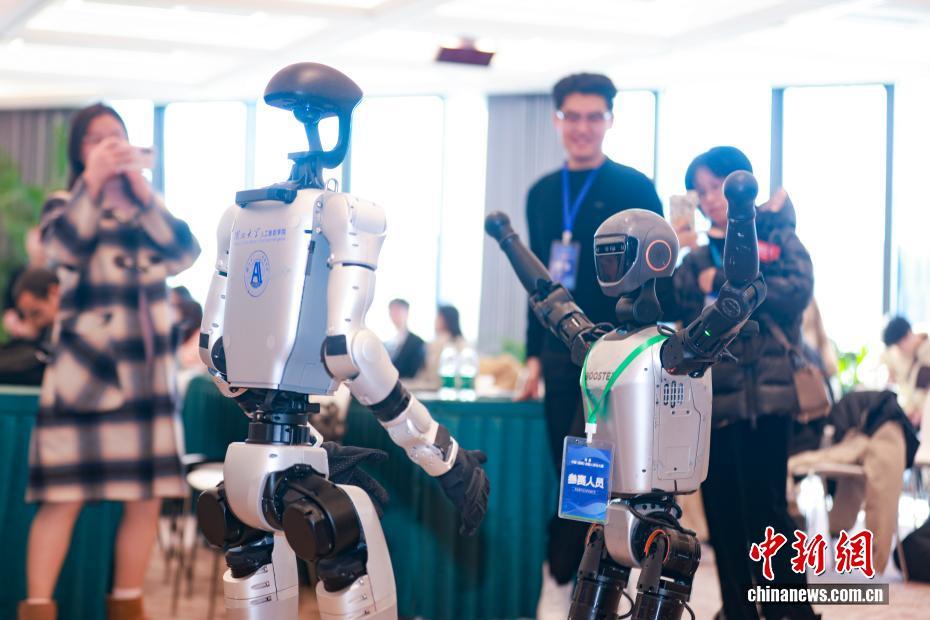 弁論対決を終えた2體のロボット弁者（11月2日撮影?賈天勇）。