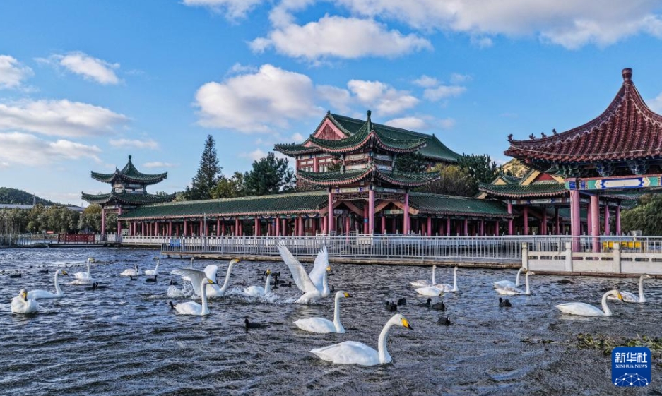 中國各地、華やぎを増す秋景色