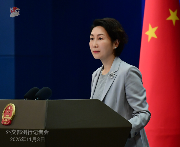 中國が仏、日本などへのビザ免除の延長、スウェーデンへのビザ免除を決定