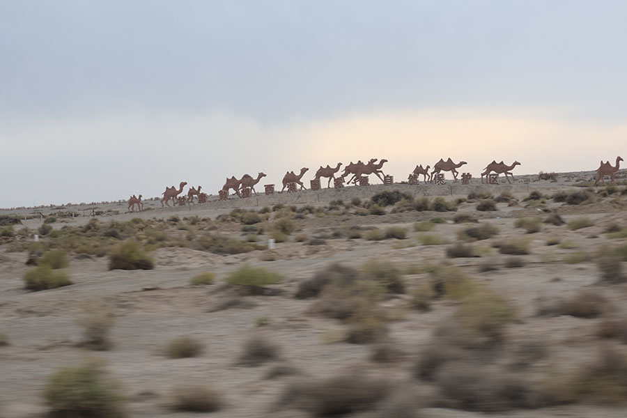 タクラマカンを駆ける
