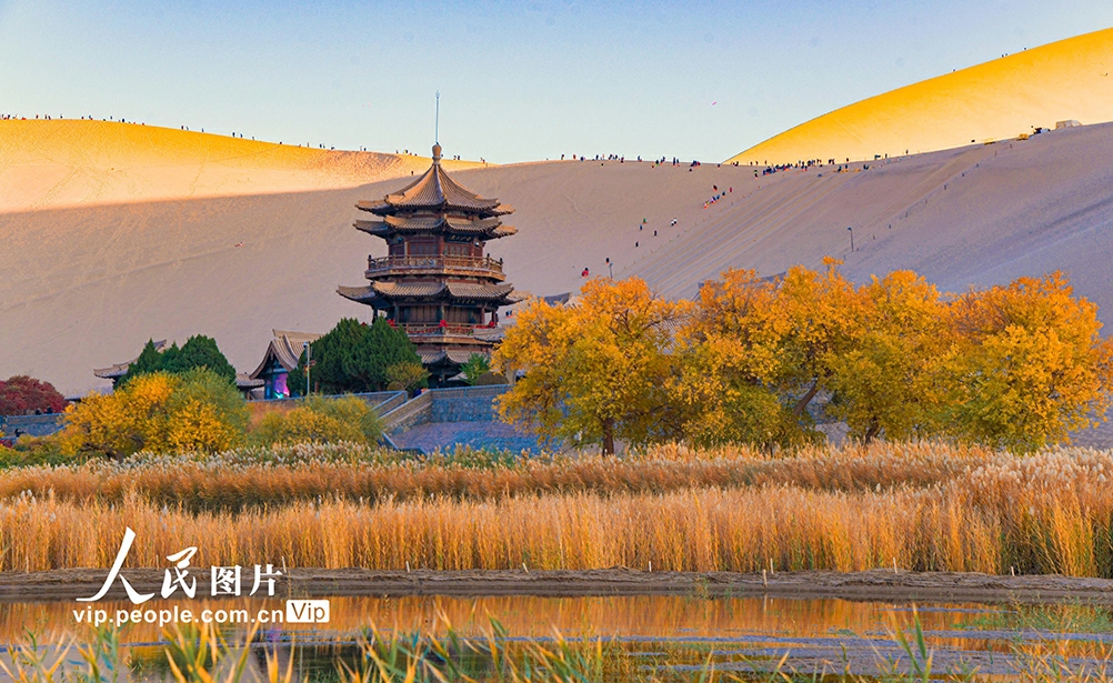 観光客を魅了する秋の砂漠　甘粛省敦煌