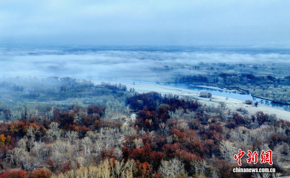 額爾斉斯河の北屯區(qū)間に生じた朝霧が織りなす幻想的な風景　新疆
