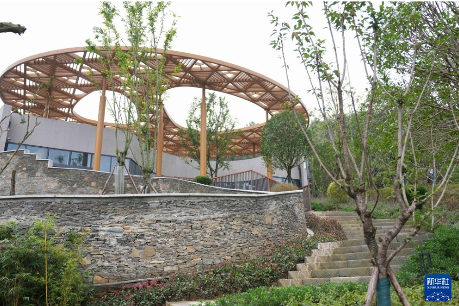 パンダ13頭が「新居」に引っ越し　四川省の綿陽(yáng)基地が完成