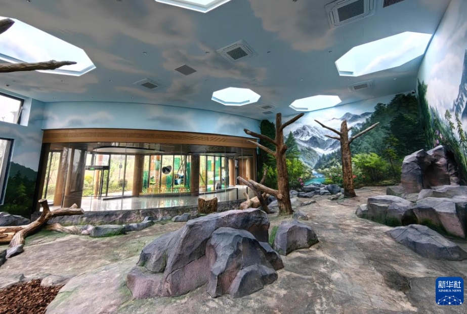 パンダ13頭が「新居」に引っ越し　四川省の綿陽基地が完成