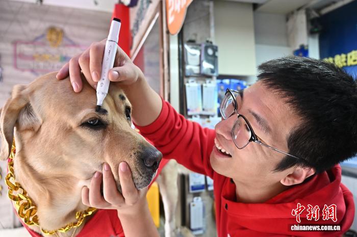 イヌの「店長」は集客の才能あり??？　山西省太原
