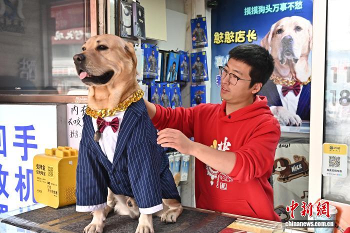 イヌの「店長」は集客の才能あり??？　山西省太原