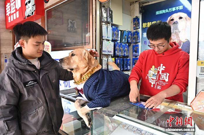 イヌの「店長」は集客の才能あり??？　山西省太原