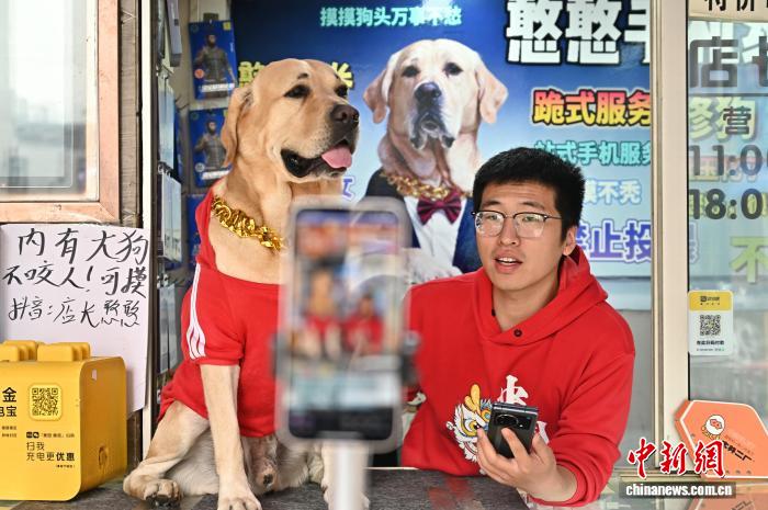 イヌの「店長」は集客の才能あり！？　山西省太原