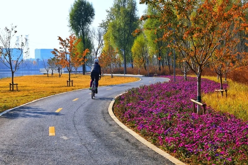 北京の市內(nèi)と副都心を観光船で結(jié)ぶコースが試験運(yùn)航の段階へ