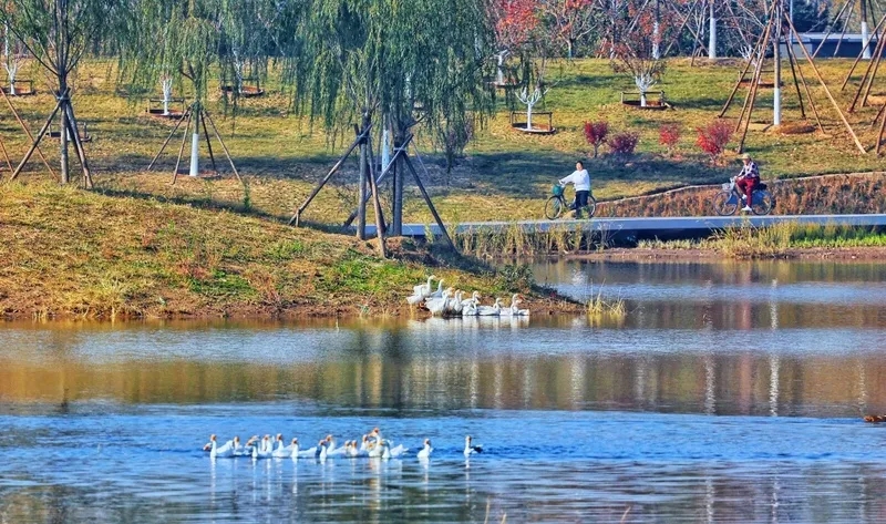 北京の市內(nèi)と副都心を観光船で結(jié)ぶコースが試験運(yùn)航の段階へ