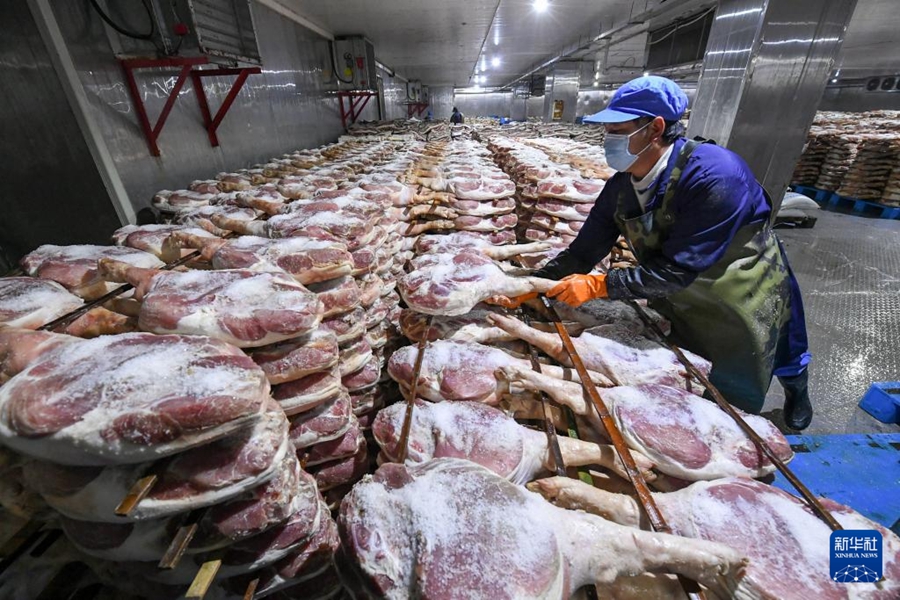 ピークを迎えたハムの塩漬け作業(yè)　浙江省金華