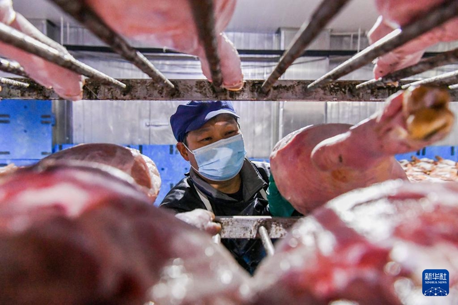 ピークを迎えたハムの塩漬け作業(yè)　浙江省金華