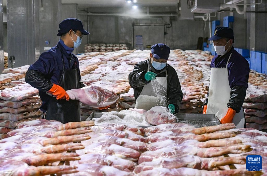 ピークを迎えたハムの塩漬け作業(yè)　浙江省金華