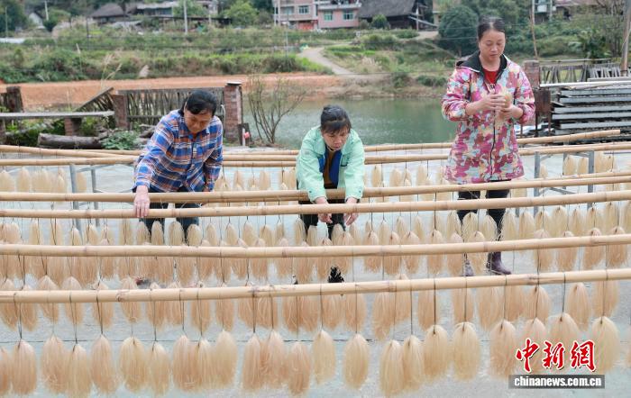 まもなく立冬、天日干し作業(yè)もピークに　広西?三江侗郷