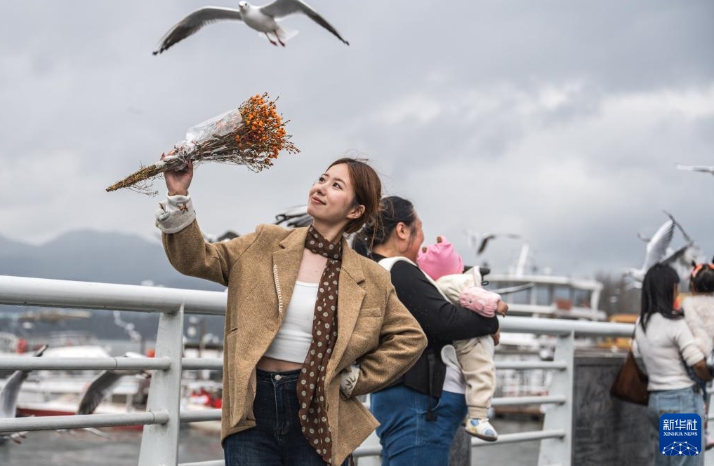 ユリカモメとの戯れを楽しめる冬の昆明　雲(yún)南省
