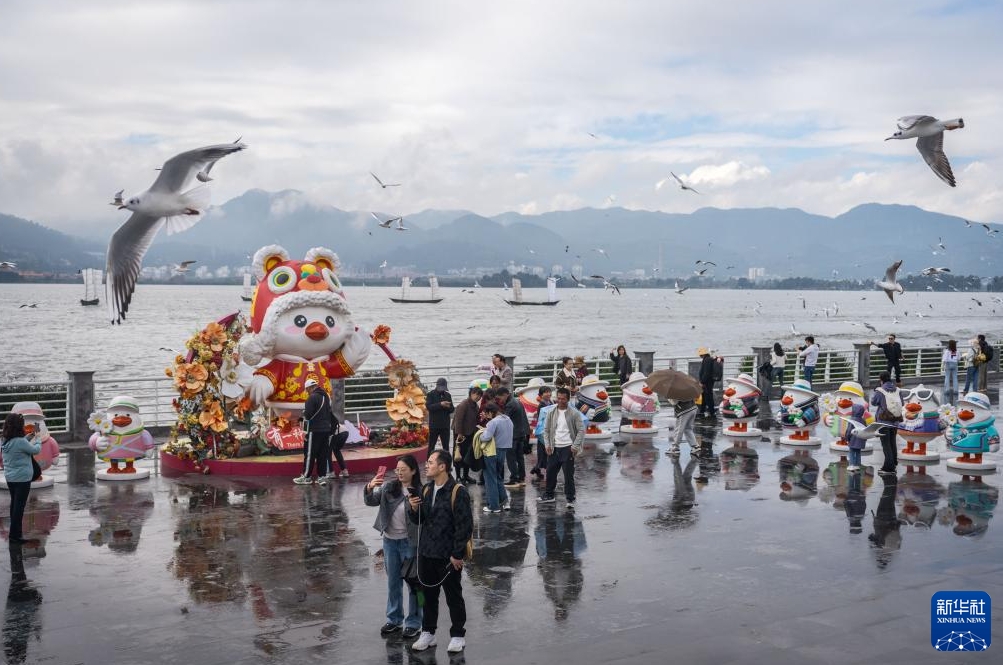 ユリカモメとの戯れを楽しめる冬の昆明　雲(yún)南省